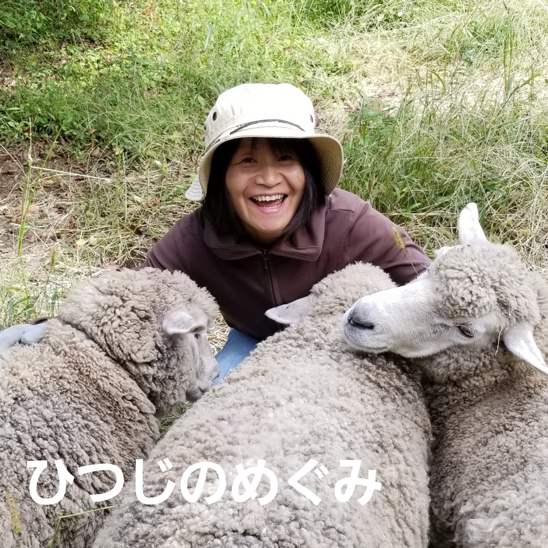 ひつじのめぐみ